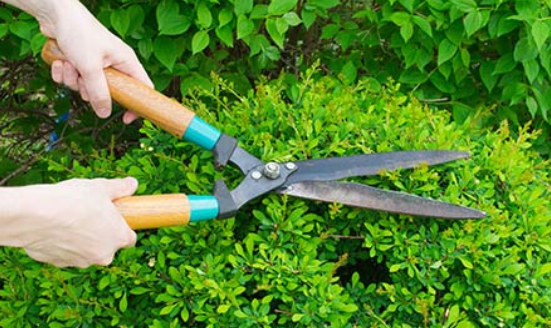 Gardening